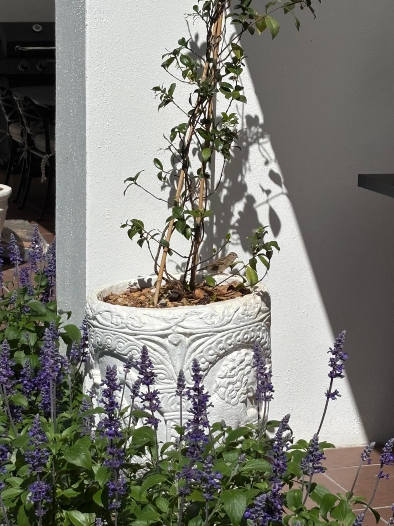 Nassau Guest Farm Hotel Stellenbosch Exterior foto