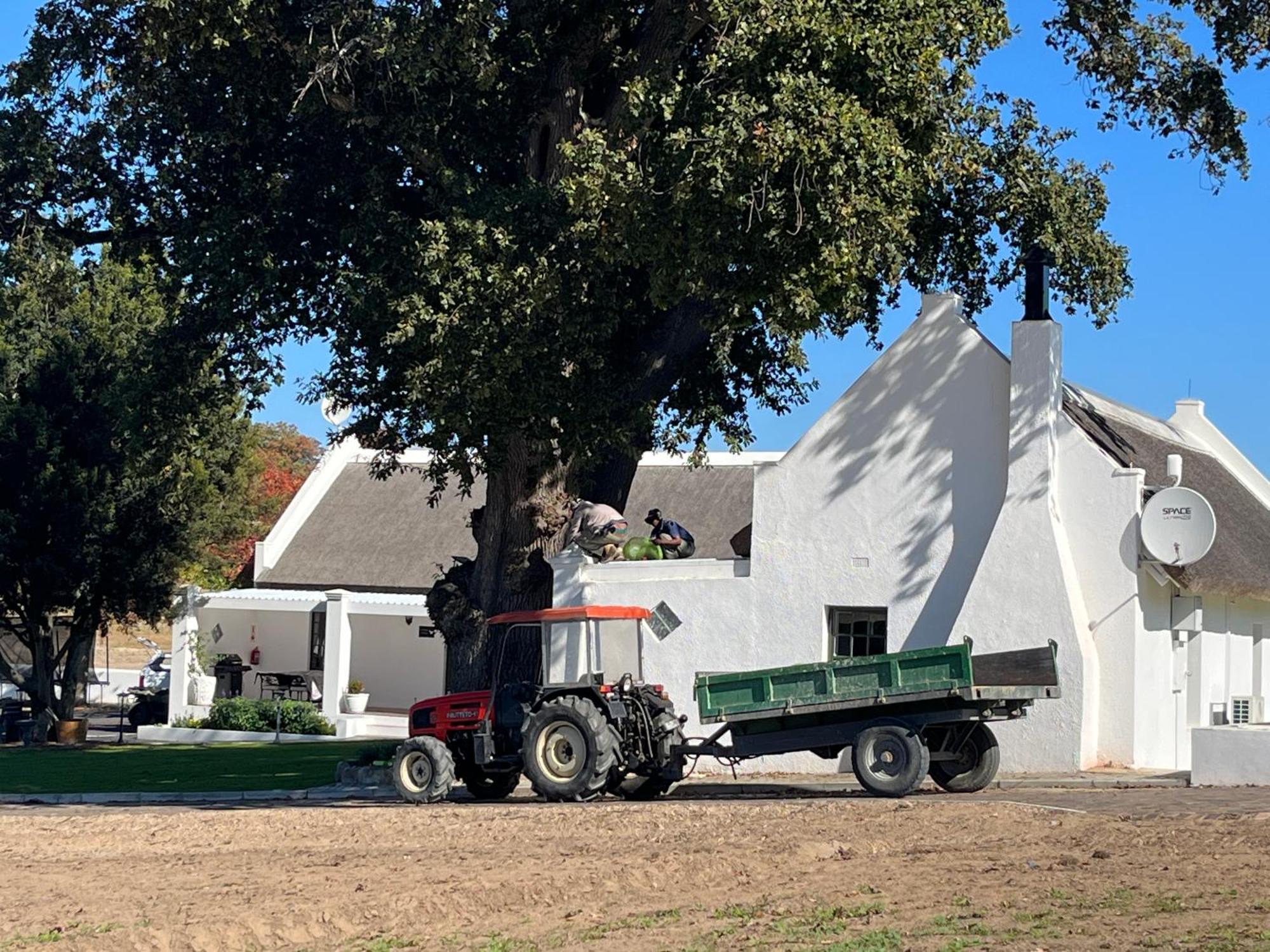 Nassau Guest Farm Hotel Stellenbosch Exterior foto